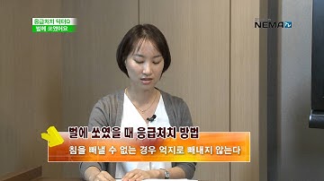 응급처치닥터Q_벌에 쏘였어요