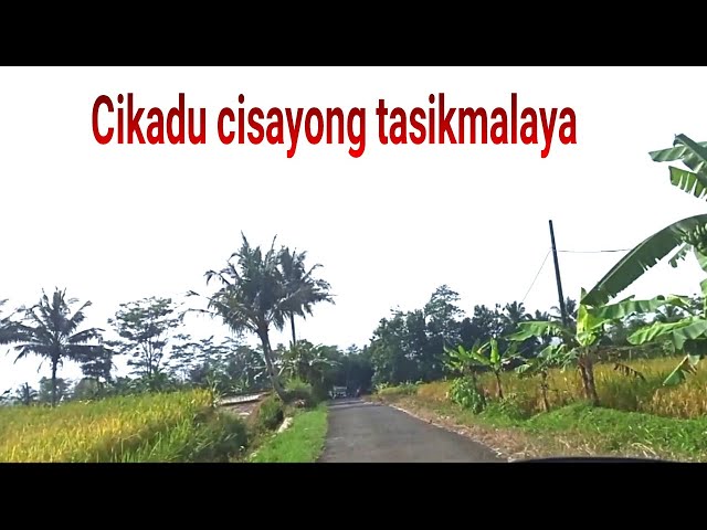 Suasana alam pedesaan purwasari cisayong tasikmalaya class=