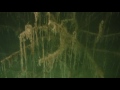 Подводная съемка карьера в г.Береза