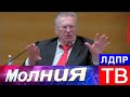 Владимир Жириновский: В гражданском браке люди не любят друг друга