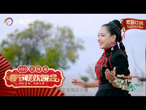 歌唱《同行》：茸芭莘那家乡的故事，由心而发，情绪饱满，唤起每个人心头的牵挂【2023云南春晚】