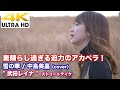 【4K】素晴らし過ぎる迫力のアカペラです! 雪の華 / 中島美嘉(cover)" 武田レイナ " ストリートテイク "もっちゃんの部屋"コラボ 4K動画