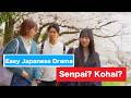 Easy Japanese Drama: After Work