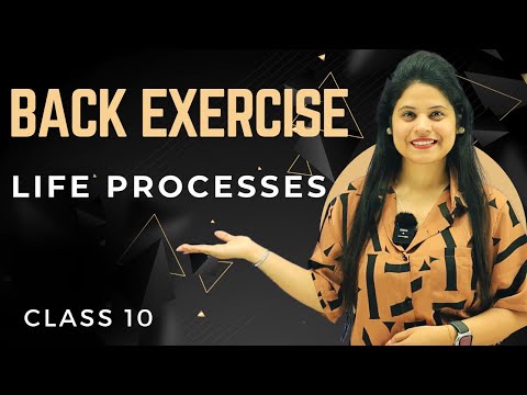 Back Exercise Chapter 5 Life Processes Class 10 Science NCERT