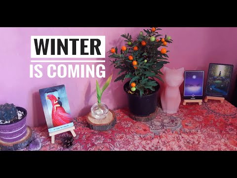 რას მომიტანს ზამთარი