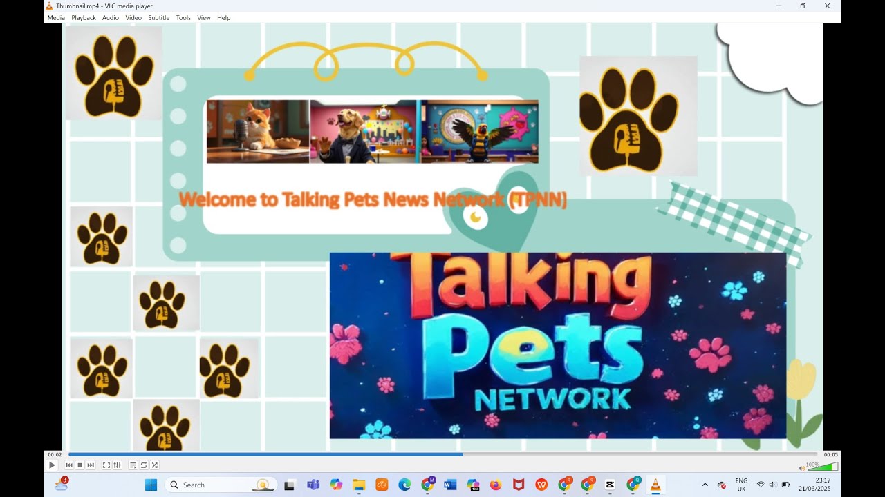 “The Lost Bone Mystery”  | TPNN