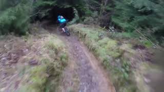 wwu course check