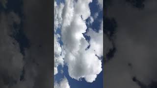 IMG 6931 1