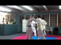 Kenpo Blocks