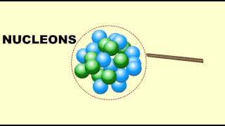 What is Nucleus Introduction