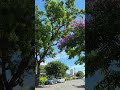 2025/06/21 富里火車站外 A view from outside of the Fuli train station, Hualien, Taiwan