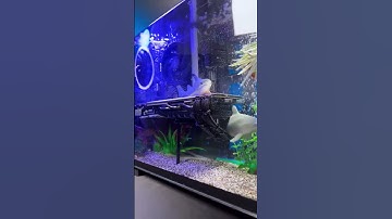 Tản nhiệt “tắm bồn” cho PC – Nghe điên mà lại cực đỉnh 🔥💻