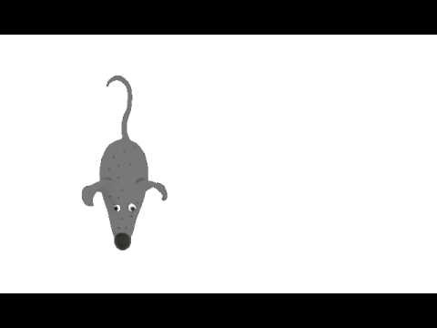 Vidéo: Que signifie souris transgénique ?