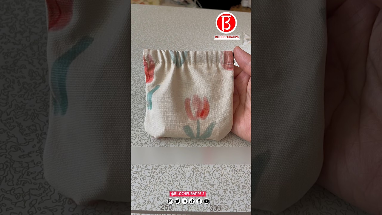 share a coin purse bag with a snap-fit piece, okay? part 203