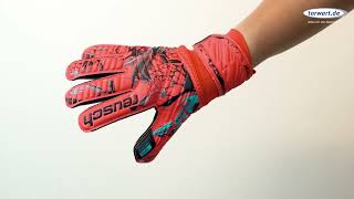 Reusch Torwarthandschuhe Attrakt Silver Roll Finger Junior R5372217-3333