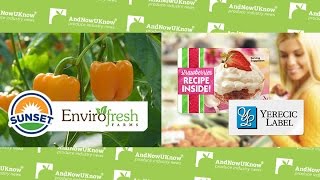 AndNowUKnow - Mastronardi, Yerecic - Quick Dish
