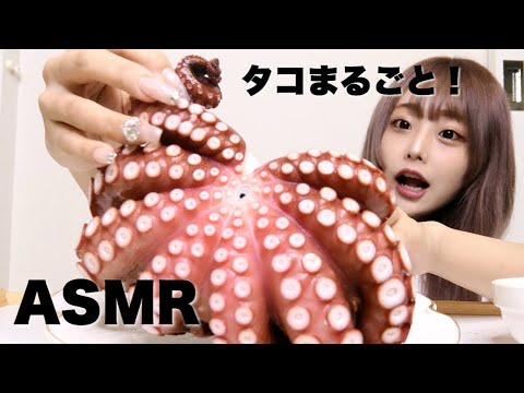 【ASMR】巨大タコ?のお刺身をまるごと食べる音【咀嚼音】