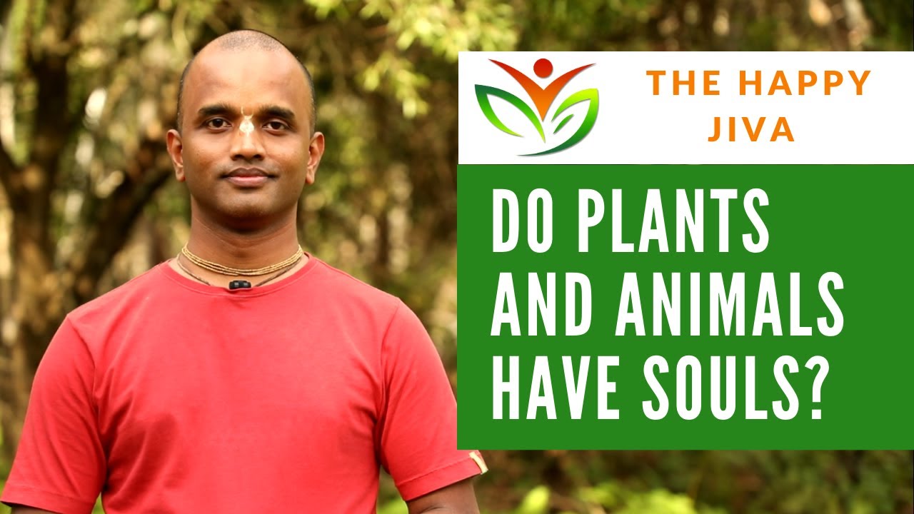 Do Plants & Animals Have Souls? YouTube