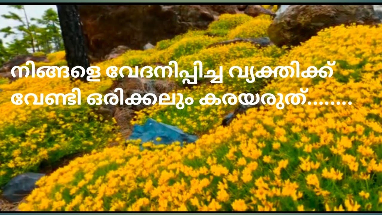 motivation-quotes-malayalam-life-achievement-thoughts-youtube