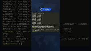 One proxy, real domains, free HTTPS - Nginx Proxy Manager in 100 seconds