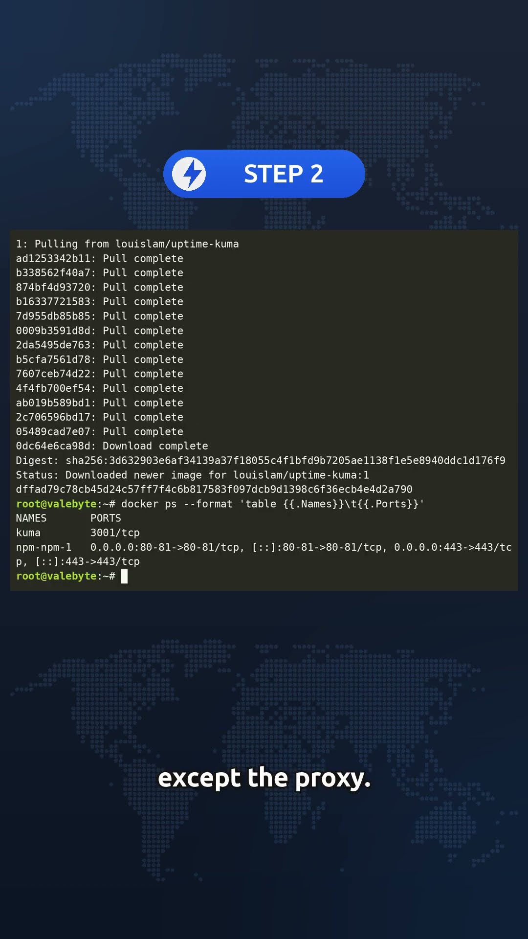 Установка Nginx Proxy Manager на VPS: Управление Reverse Proxy и SSL через Web UI