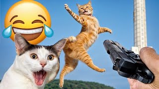 I would die laughing for these FUNNIEST Cats 😍 Funniest Cat Reaction 😼