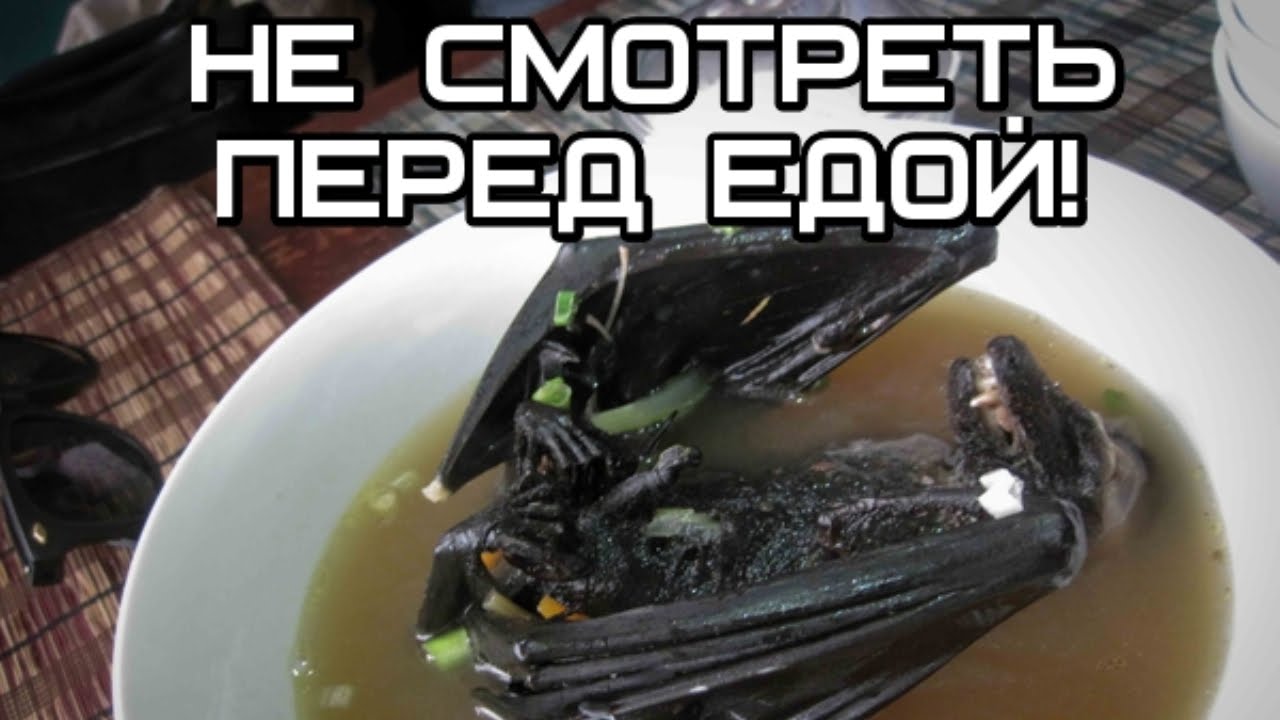 15 САМЫХ ОТВРАТИТЕЛЬНЫХ БЛЮД МИРА