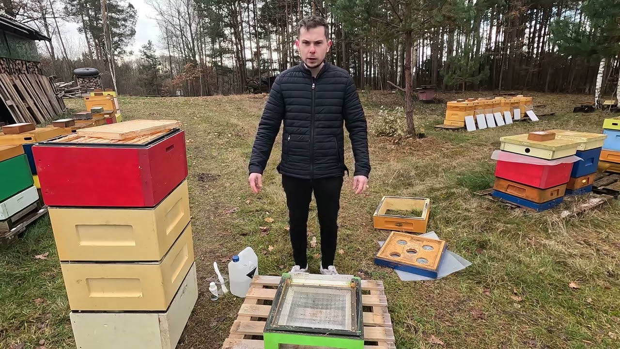 Jak zabezpieczyć ramki z suszem przed motylicą?