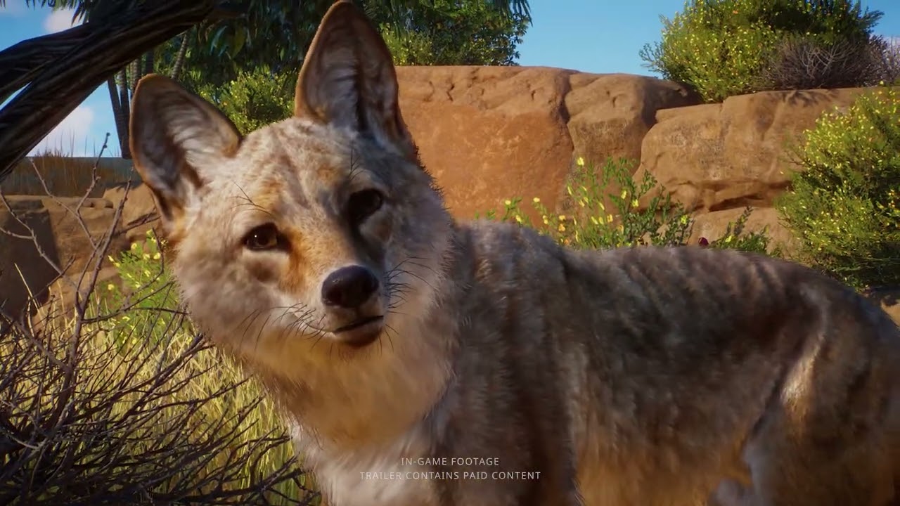Planet Zoo: Americas Animal Pack - Announce Trailer