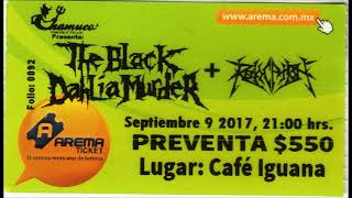 The Black Dahlia Murder   I Worship Only What You Bleed  Nocturnal 