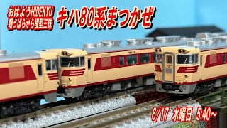 Kiha 80 Series Matsukaze - Good Morning HIDEKYU: Immersed in Model