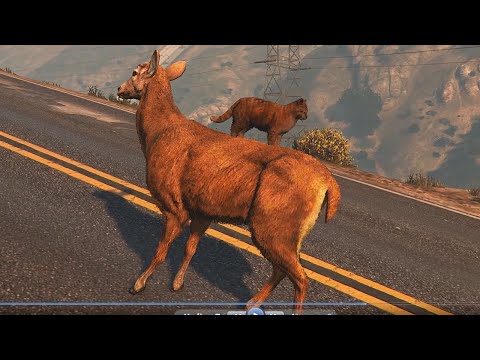 GTA 5 MODS | 016 | RIDE A DEER MOD (FUNNY MOD)