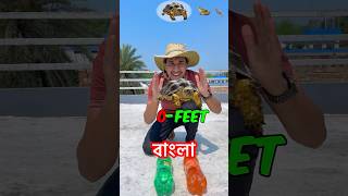 Cheetah vs Human Jump Challenge -#shorts