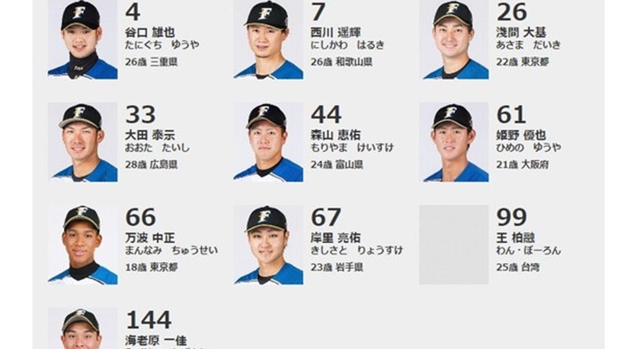 日職 王柏融已在火腿選手名單但沒照片官網打開就是他 Youtube 日職 王柏融已在火腿選手名單但沒照片官網打開就是他 Youtube