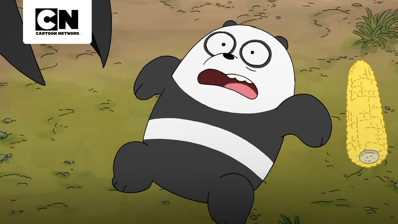 URSOS ENSINAM OS COELHOS A SE DEFENDEREM | URSOS SEM CURSO | CARTOON NETWORK