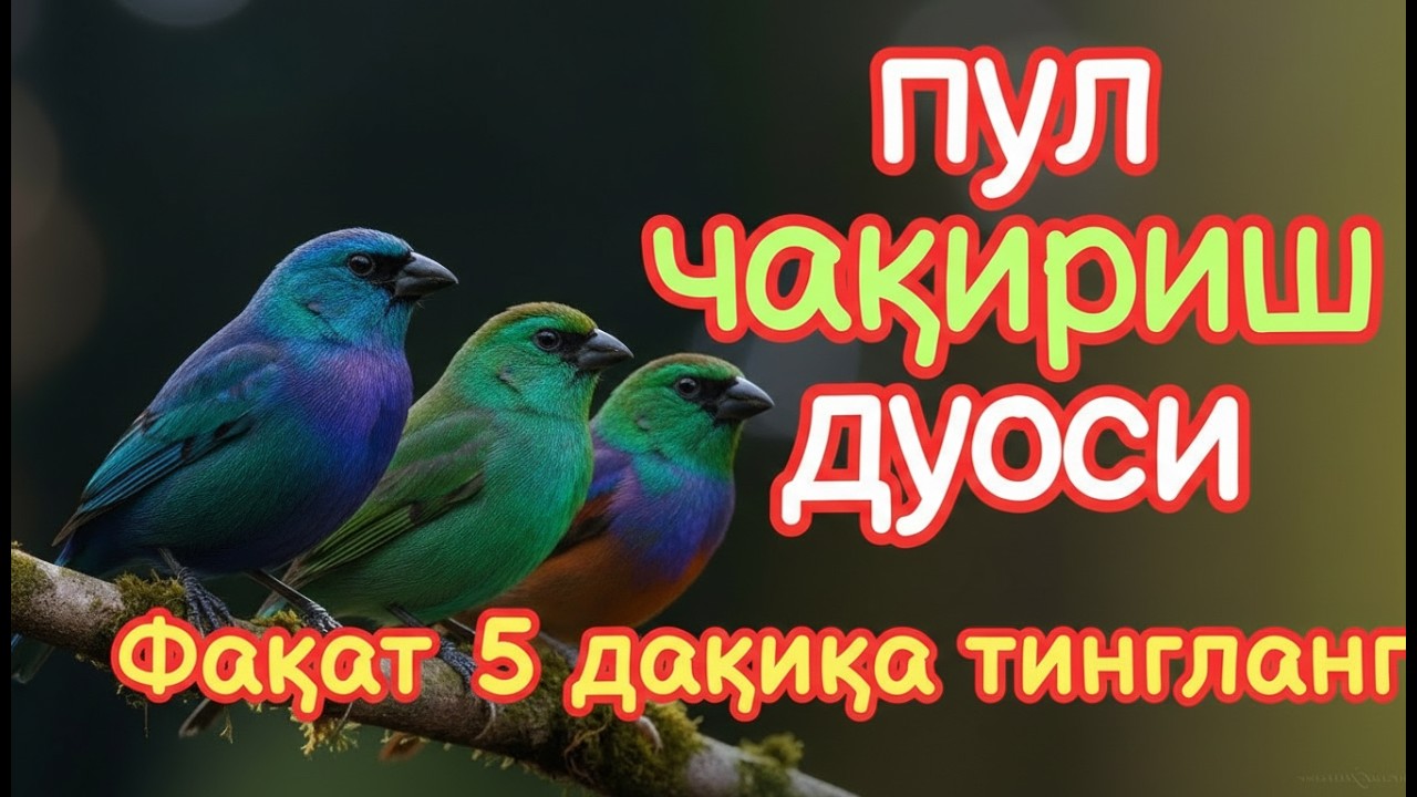 🔴 Тинглаганингиздан 5 дақиқа ўтгач, сиз пул оласиз-ДУА МУСТАЖАБ, ҳақиқий мўжизаларга ега бўлинг
