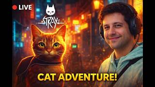 A Lonely Cat’s Journey Begins 🐱✨| Stray | Part - 1