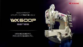WX600Pシリーズのラインナップ | シリーズからさがす | 株式会社PEGASUS