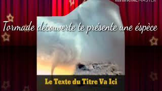 Dilo Le Scandaleux