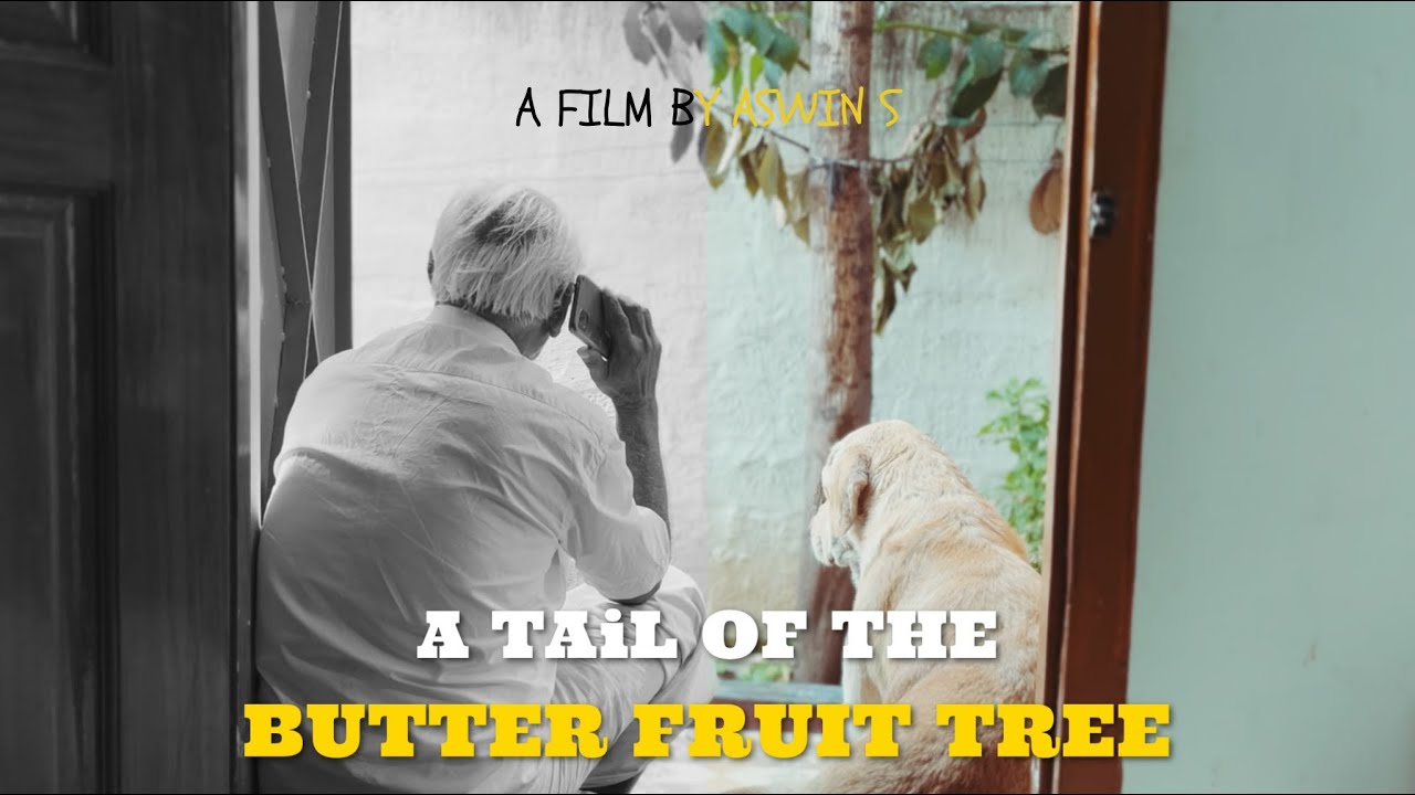 A TAiL OF THE BUTTER FRUIT TREE - Short Film