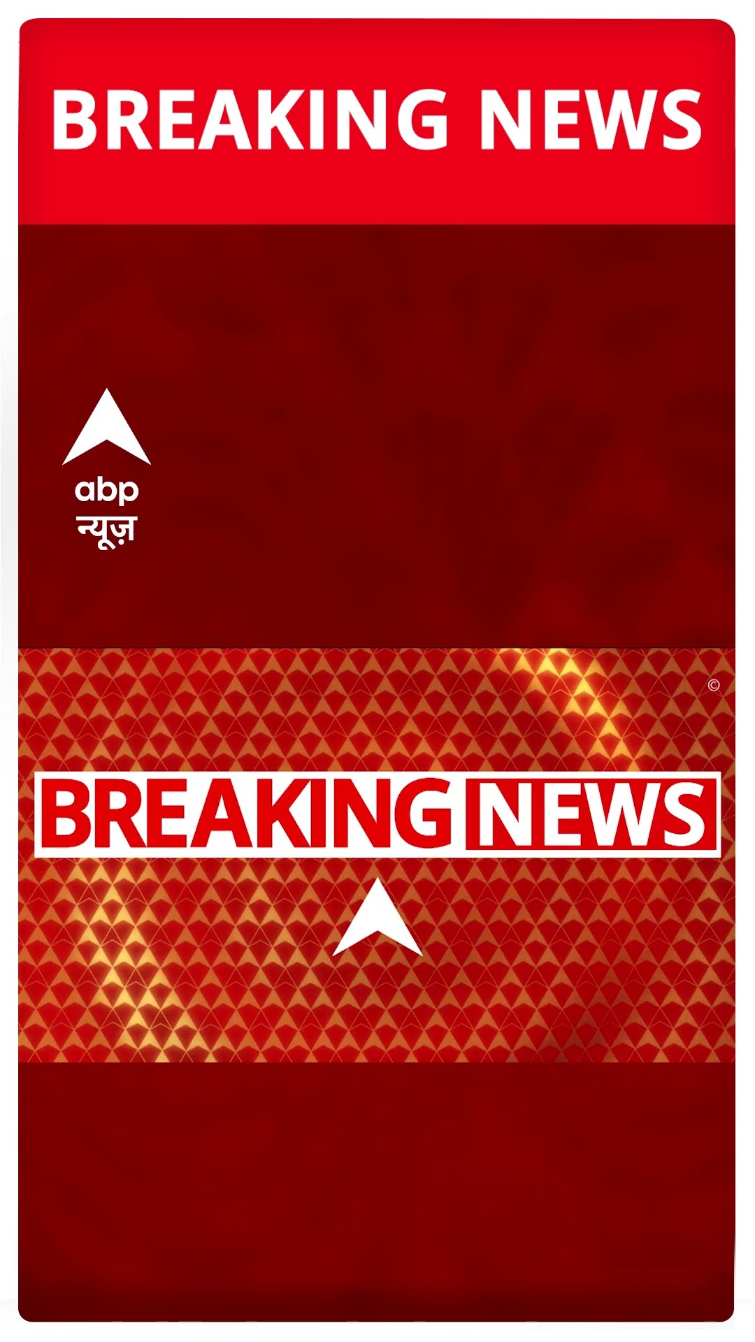BREAKING: दिल्ली में घुसपैठियों की तलाश में पुलिस का सर्च ऑपरेशन #abpnewsshorts