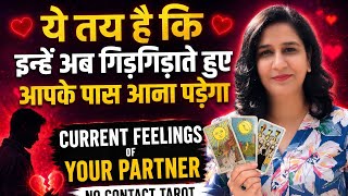 THEY WANT YOU BACK🧿TAROT CARD READING🧿UNKI CURRENT FEELINGS🧿CURRENT FEELINGS OF YOUR PERSON🧿