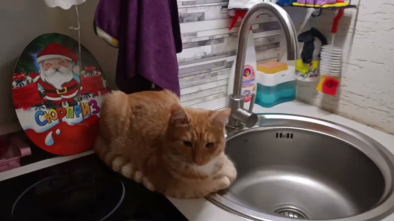 Не нужно мне гвозди забивать📌