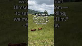 Need wisdom? Seek Him #bibleverse #christianencouragement #abidinginchrist