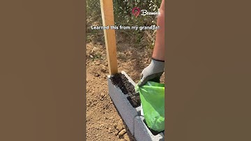 DIY Vertical Trellis Garden #diy #garden #hack