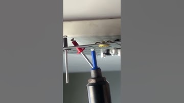 Rivets in various colors