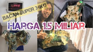 BONGKAHAN BACAN BESAR 34KG DAGING SUPER, HARGA 1.5MILIAR TEMBUS SAMPAI 20MM PAKAI SENTER TERANG