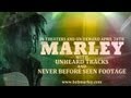 MARLEY (2012) - TV Ad