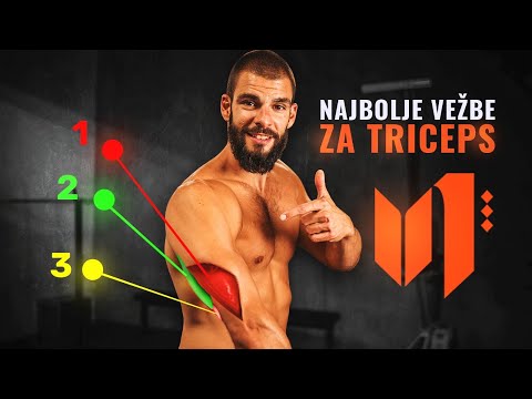 Video: Prilikom savijanja lakta triceps je?