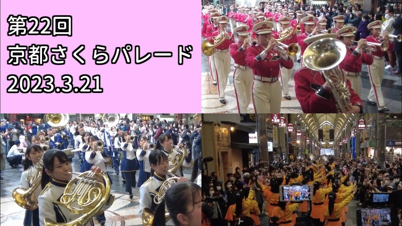京都さくらパレード2023【全団体】Kyoto Tachibana SHS Band 京都橘を追うカメラ！滝川第二にノリノリで付いていく外国人観光客！　Kyoto Sakura Parade 2023